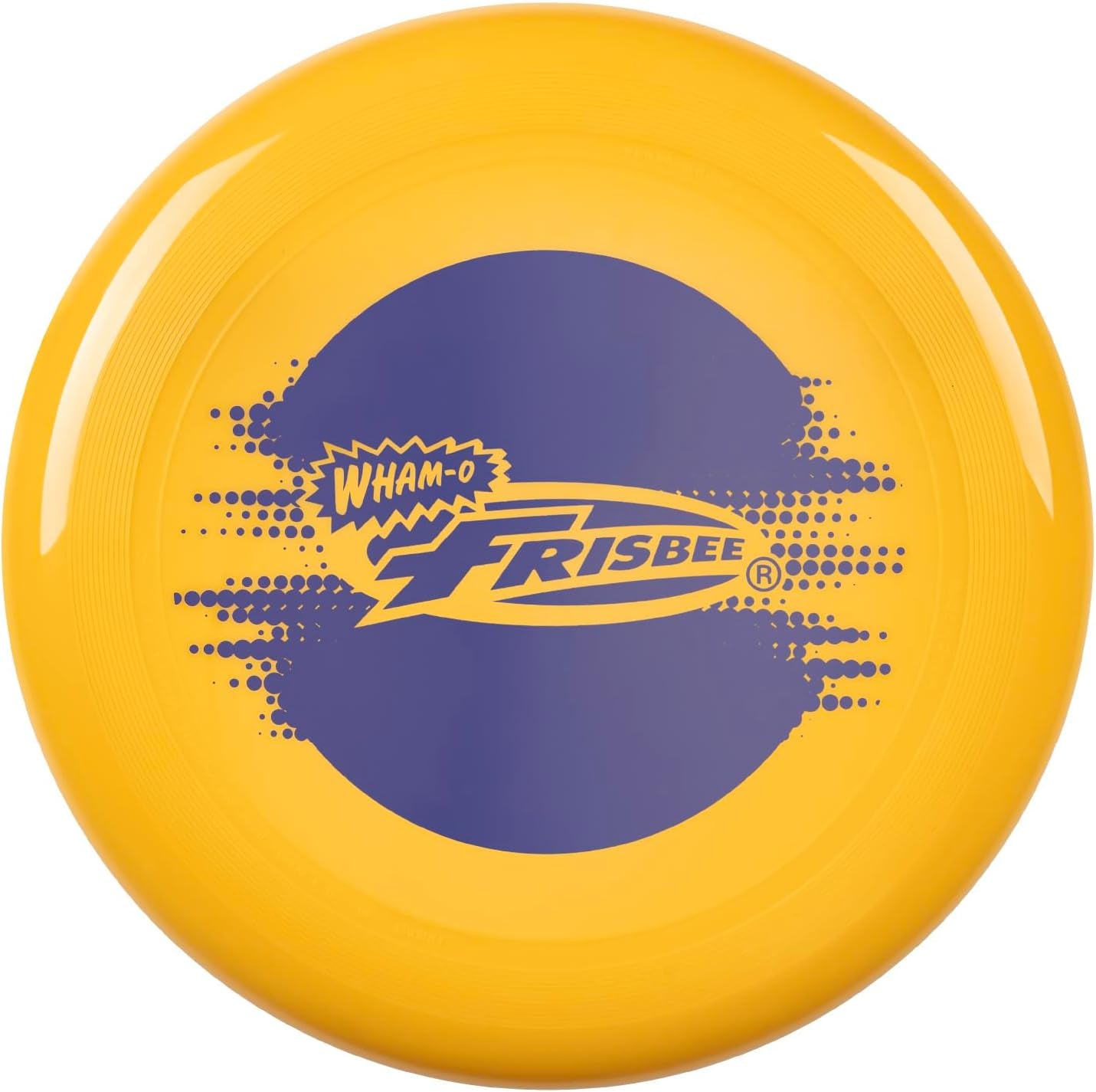 Frisbee Cool Flyer Flying Disc, 9.95 Inch Sports Disc Lightweight Durable for Outdoor Beach Park Backyard Game - 130G