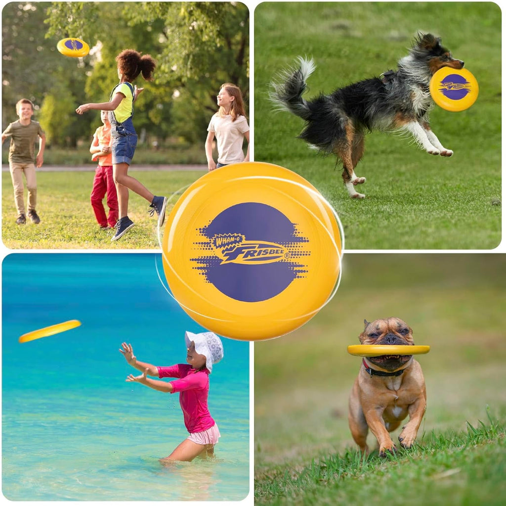 Frisbee Cool Flyer Flying Disc, 9.95 Inch Sports Disc Lightweight Durable for Outdoor Beach Park Backyard Game - 130G